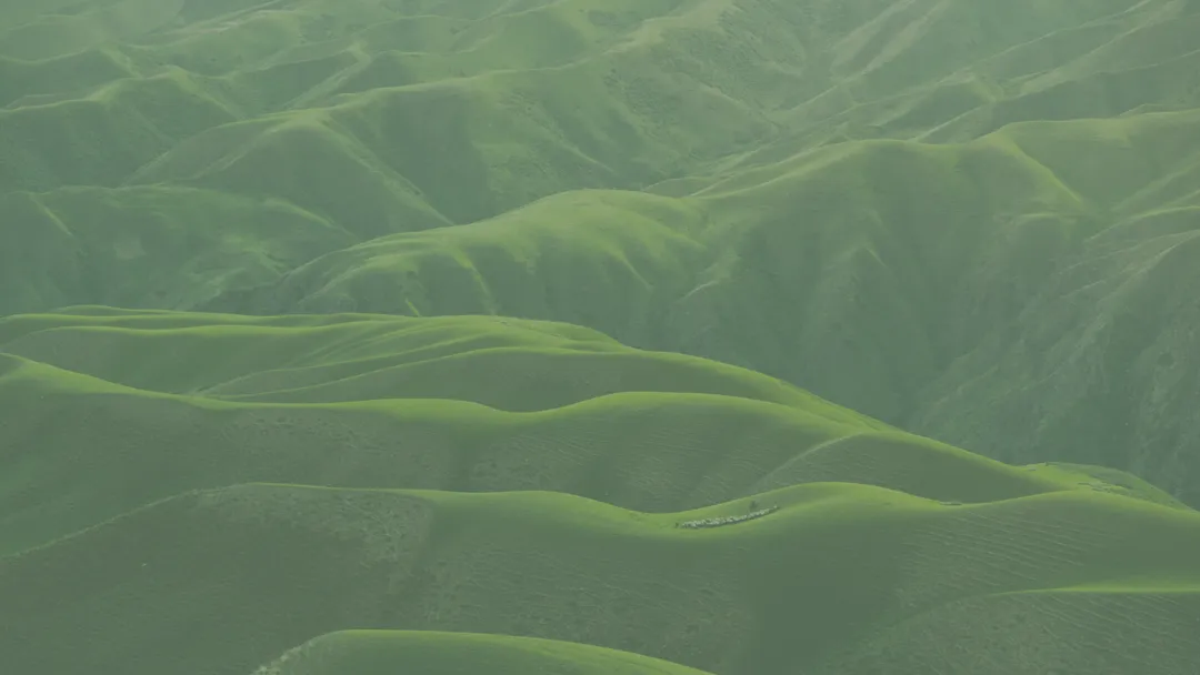 Green mountains