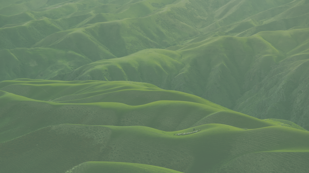 Green mountains
