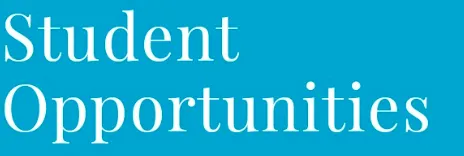  Professional Development & Internships