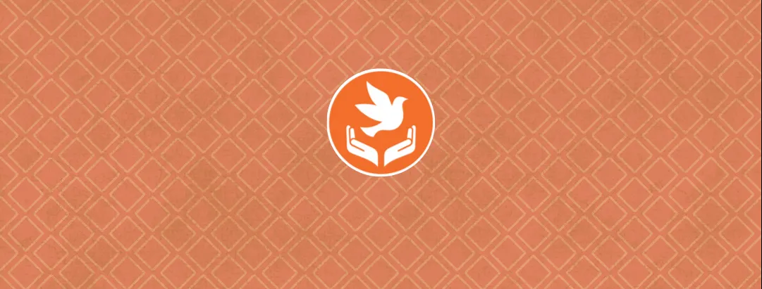Women, Peace, and Security program logo over printed orange background