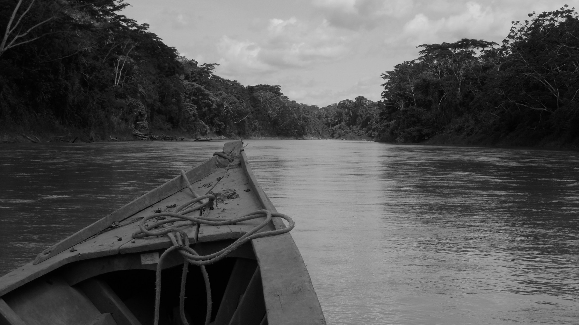 From the river in the Amazon in Peru