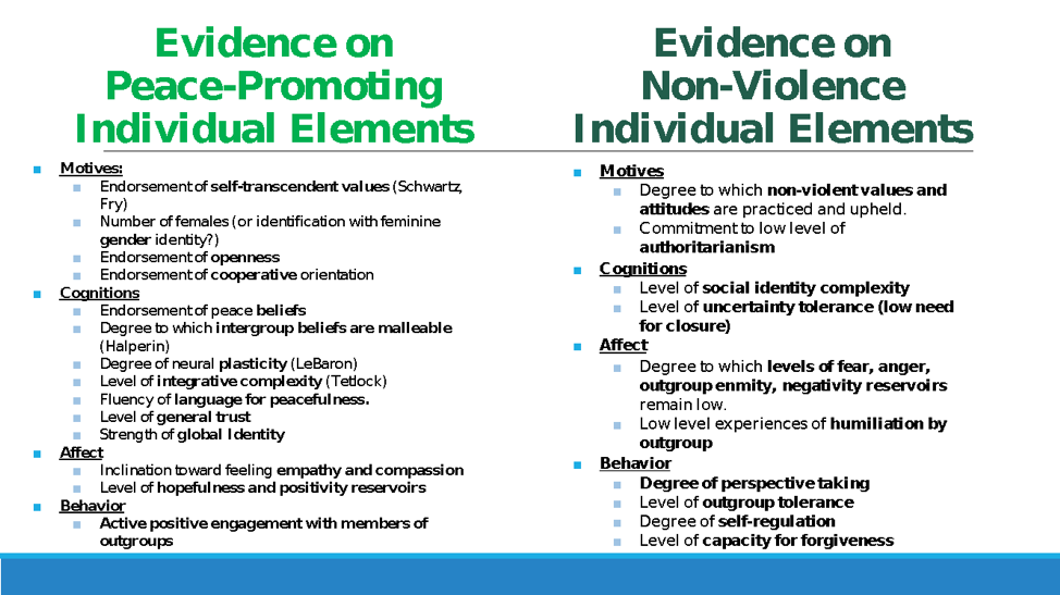 Sustaining Peace Project Elements Part 1